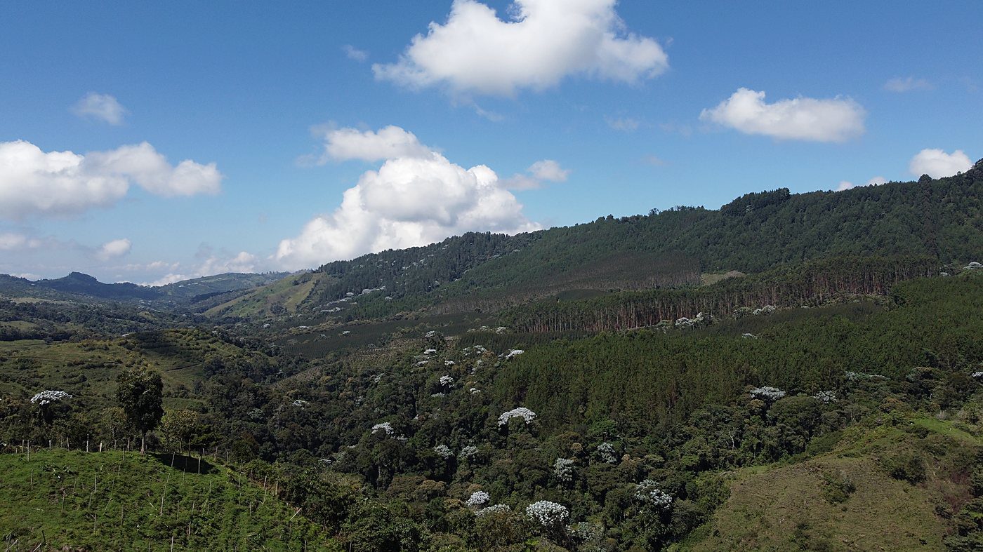 Panorámica de una cuenca de montaña del Eje Cafetero