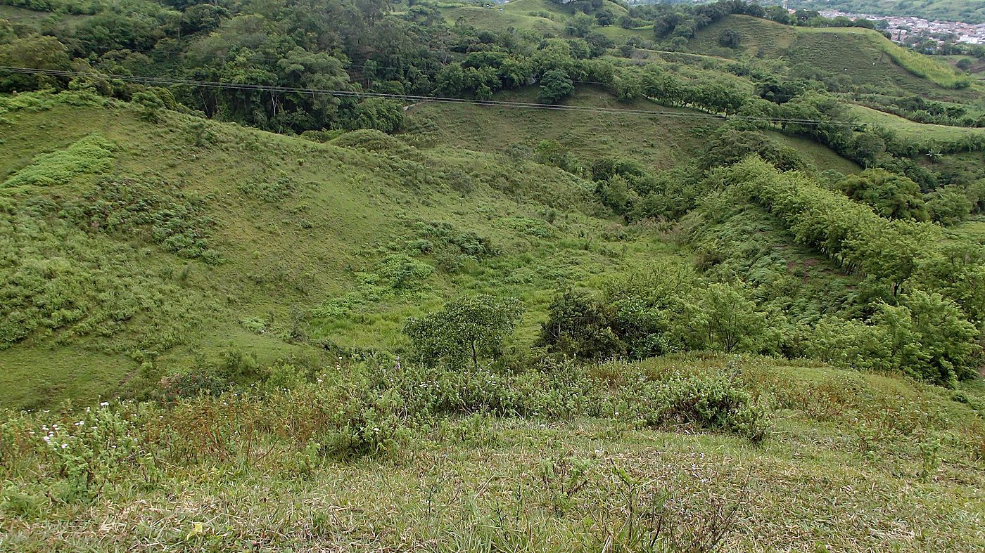 Vaguada con vegetación riparia entre laderas de pasto, cruzada por una línea de conducción eléctrica